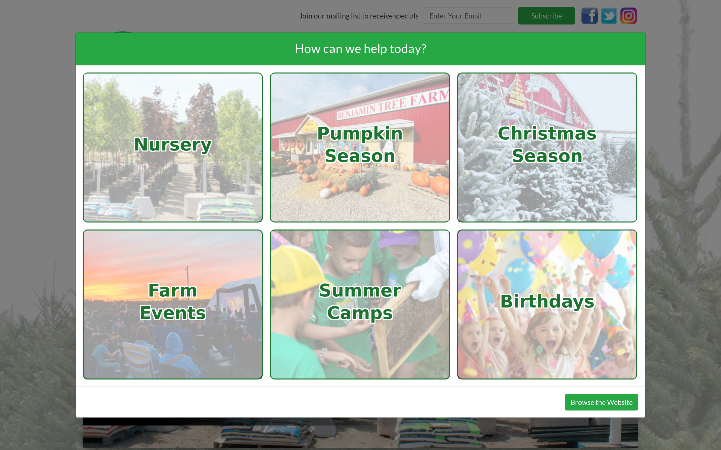 Benjamin Tree Farm website