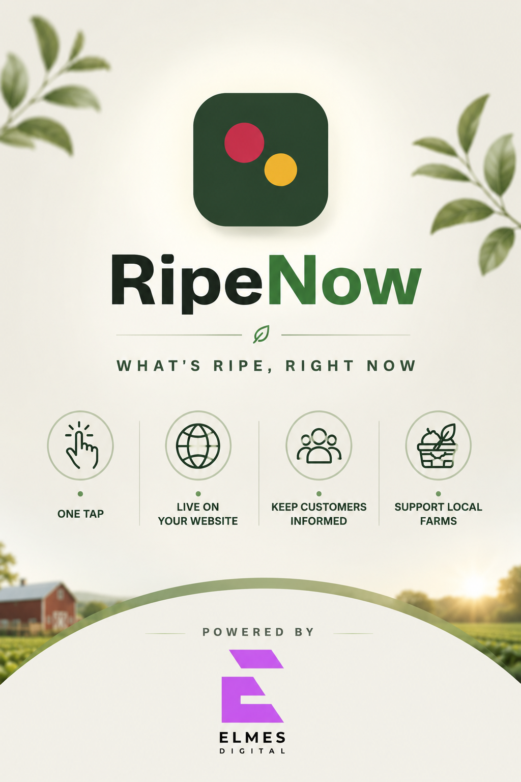 RipeNow app branding and features